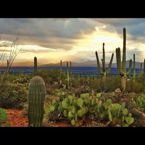 Meet your Posher, Leanne
